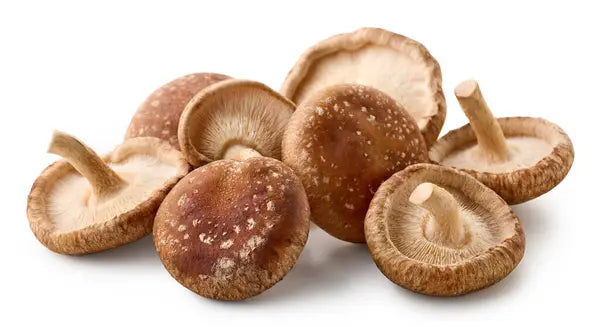 Shiitake Mushrooms