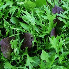 Spicy Greens