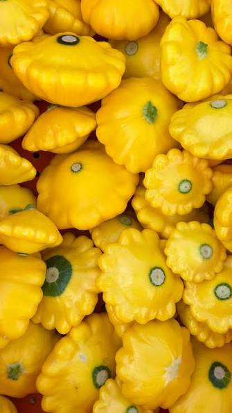 Summer Squash