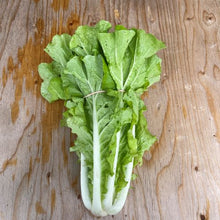 Taiwan Bok Choi