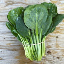 Tatsoi