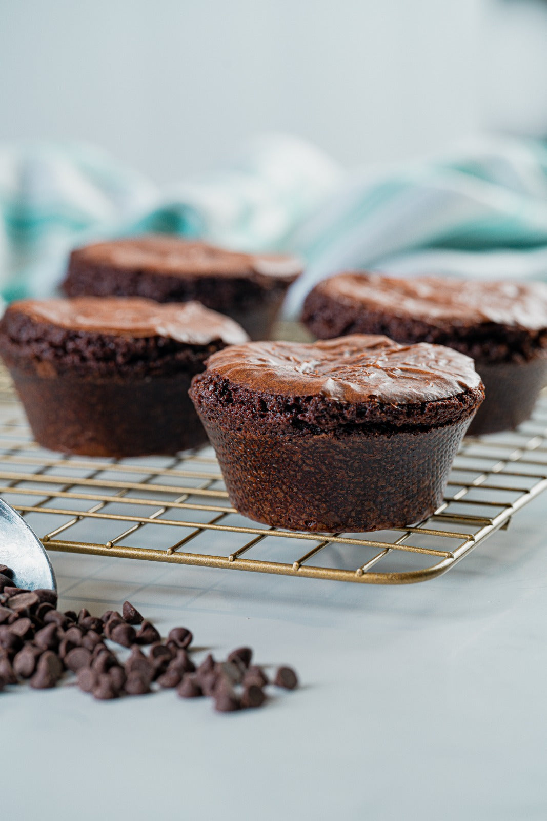 Triple Chocolate Brownie (6 Pack)