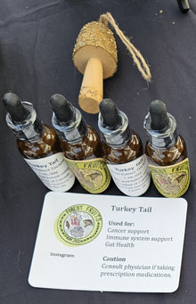 Turkey Tail Mushroom Tincture