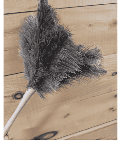 Ostrich feather duster