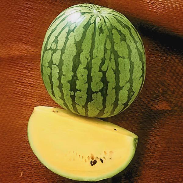 Yellow Watermelon